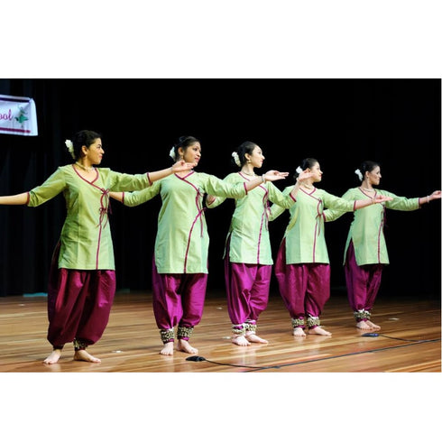 Pink With Green Embroidery Dance Costume